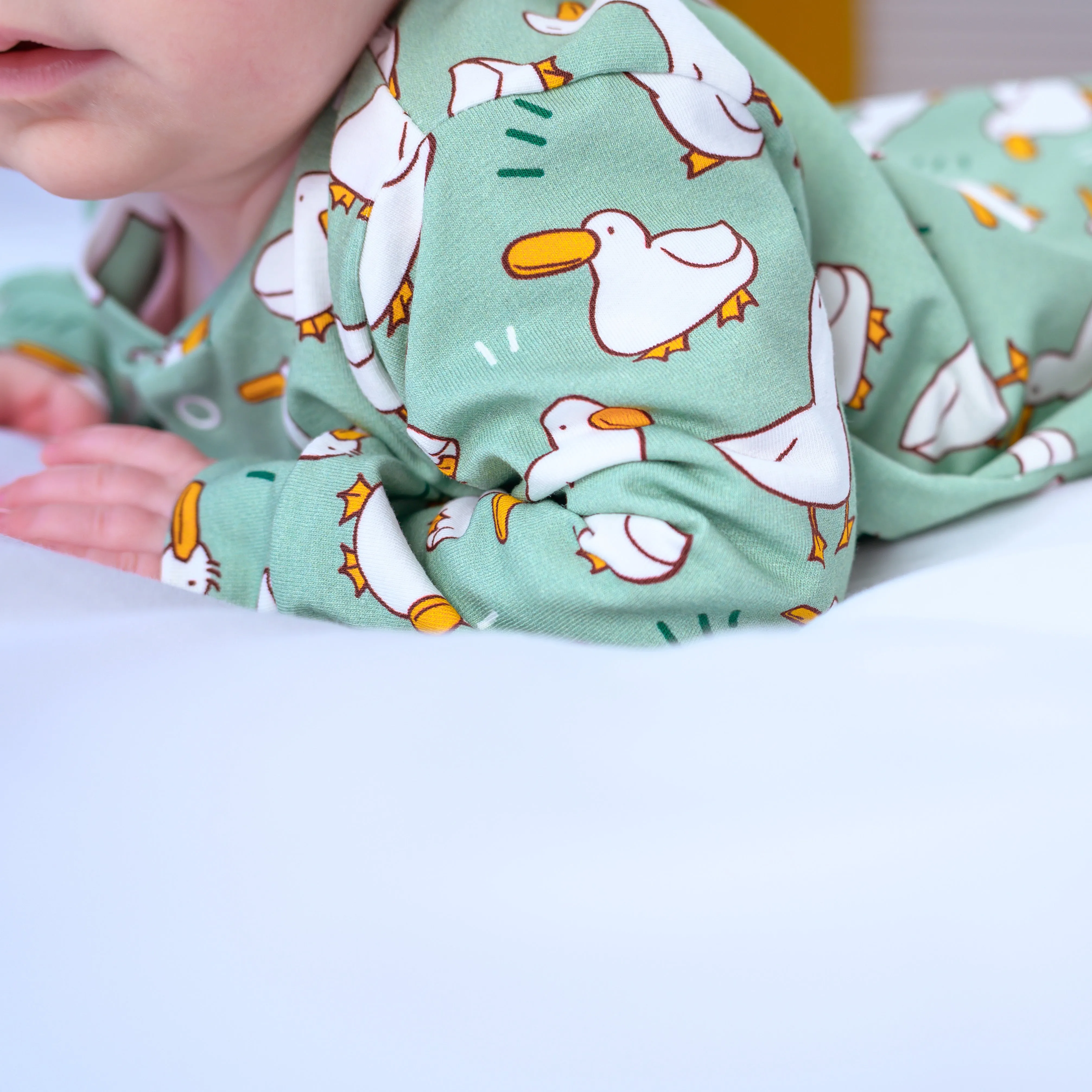 Baby Duck Gift box