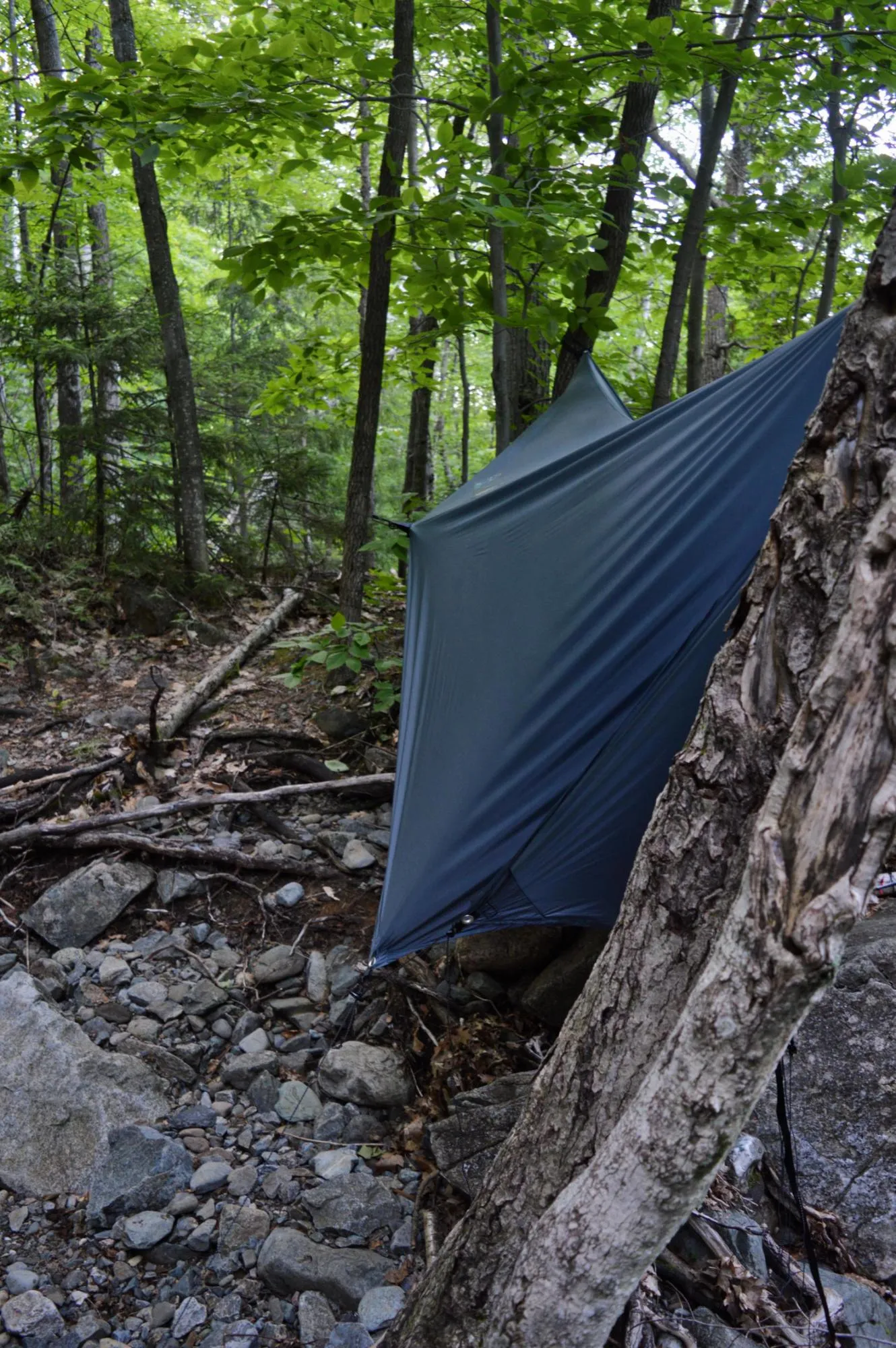 MAELSTROM TARP™